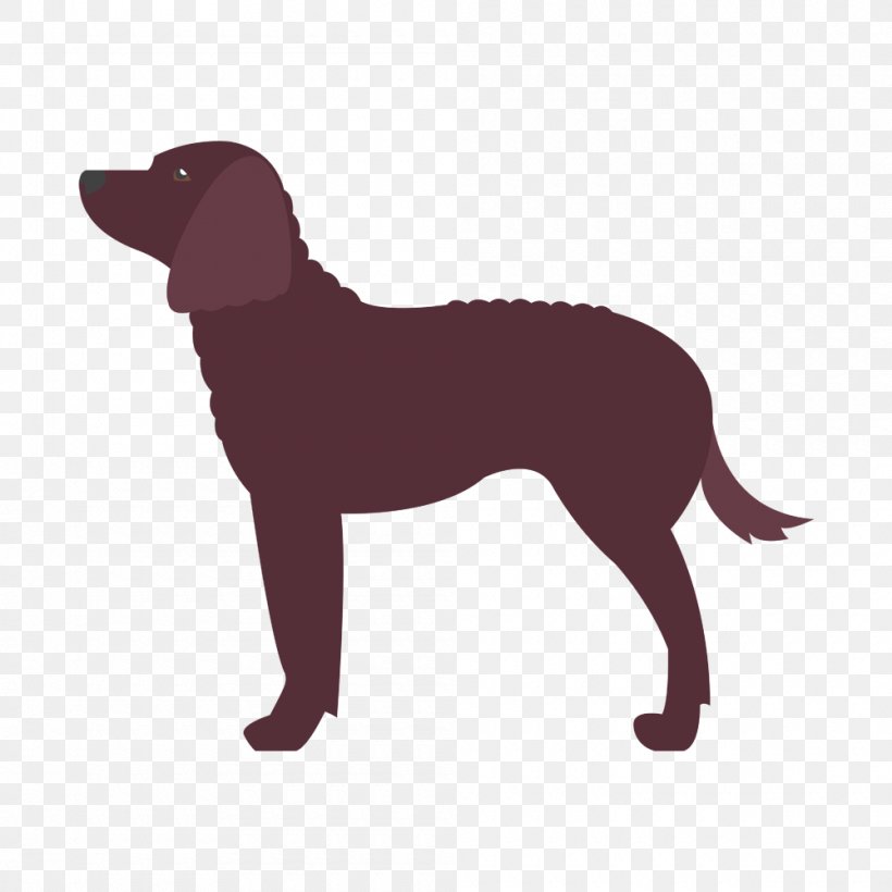 Labrador Retriever Dog Breed American Water Spaniel English Foxhound American Foxhound, PNG, 1000x1000px, Labrador Retriever, American Foxhound, American Staffordshire Terrier, American Water Spaniel, Breed Download Free