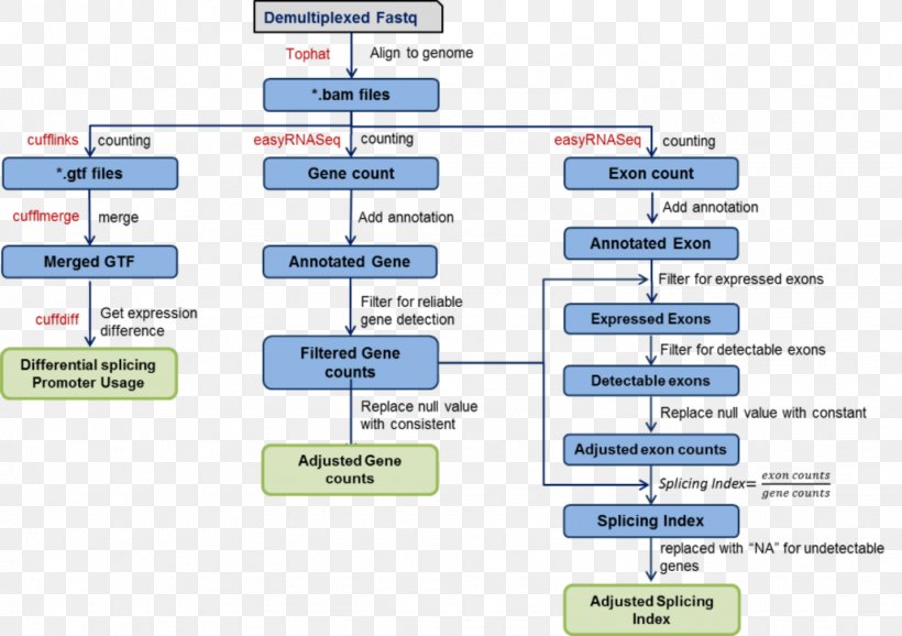 RNA-Seq Bioinformatics TopHat Genome, PNG, 1431x1009px, Rnaseq, Alternative Splicing, Area, Bioinformatics, Brand Download Free