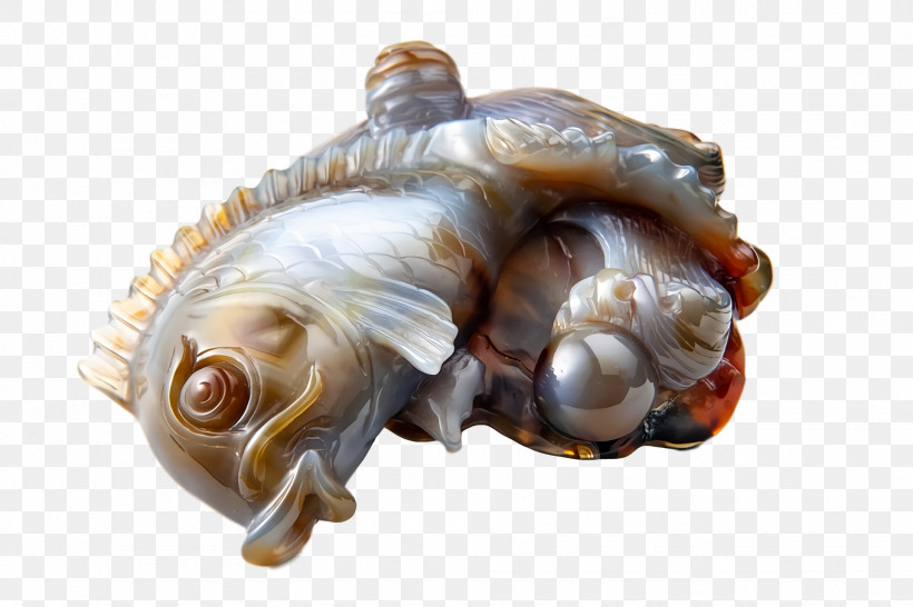 Sea Snail Conch Snail Sea, PNG, 1920x1280px, Sea Snail, Conch, Sea, Snail Download Free