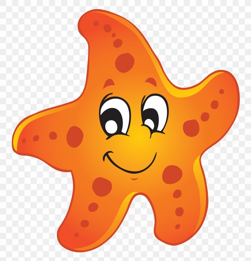 clipart sea stars species