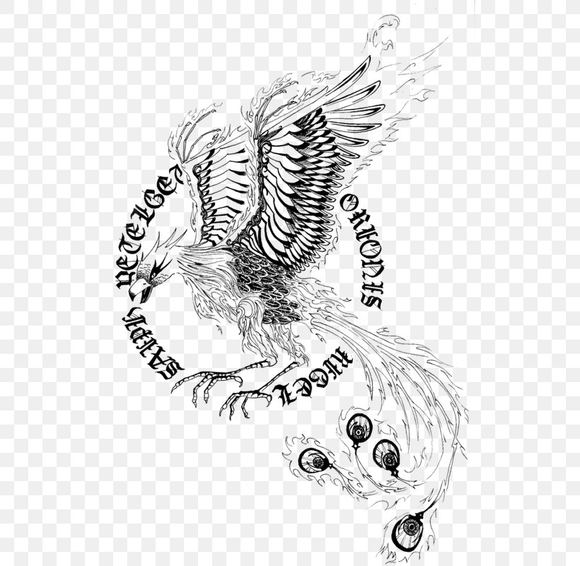 Tattoo Line Art Phoenix Visual Arts Sketch, PNG, 525x800px, Watercolor, Cartoon, Flower, Frame, Heart Download Free