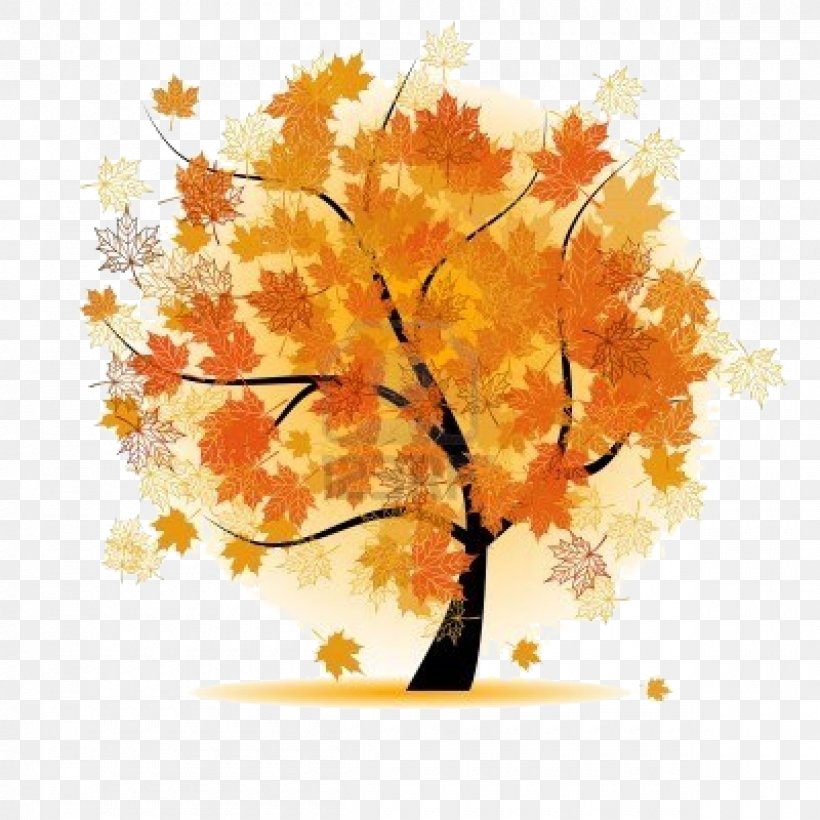 Vector Graphics Stock Photography Autumn Tree Royalty-free, PNG, 1200x1200px, Stock Photography, Art, Autumn, Black Maple, Branch Download Free
