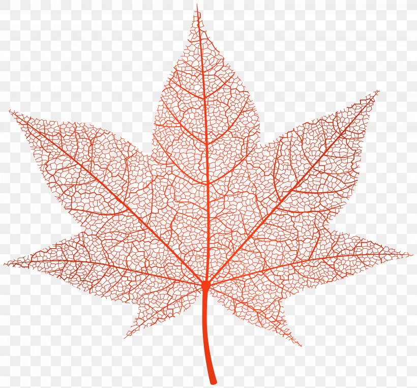 Autumn Leaf Color Clip Art, PNG, 6000x5588px, Autumn Leaf Color, Autumn, Data Compression, Drawing, Flac Download Free