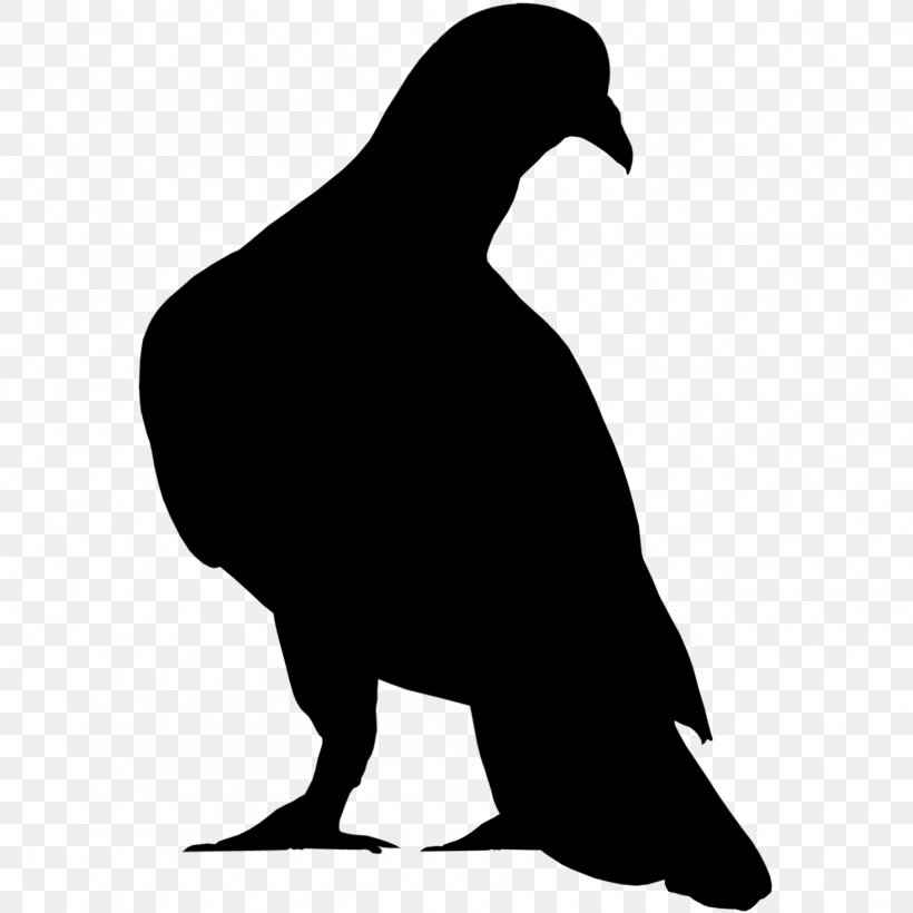 Bird Silhouette, PNG, 1467x1467px, Beak, Bird, Black M, Blackandwhite, Crow Download Free