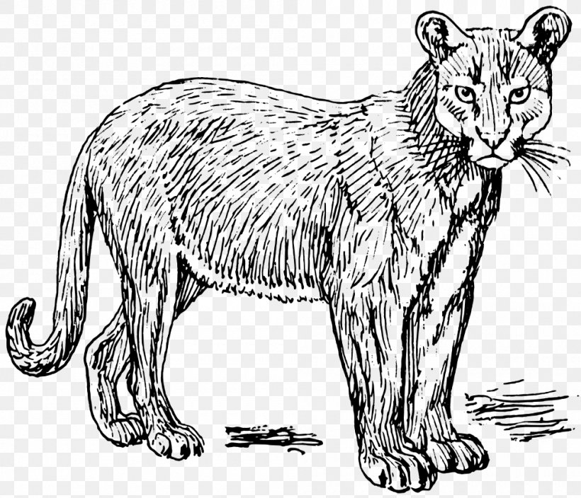 Cougar Puma Leopard Clip Art, PNG, 1000x859px, Cougar, Animal Figure, Artwork, Big Cats, Black And White Download Free