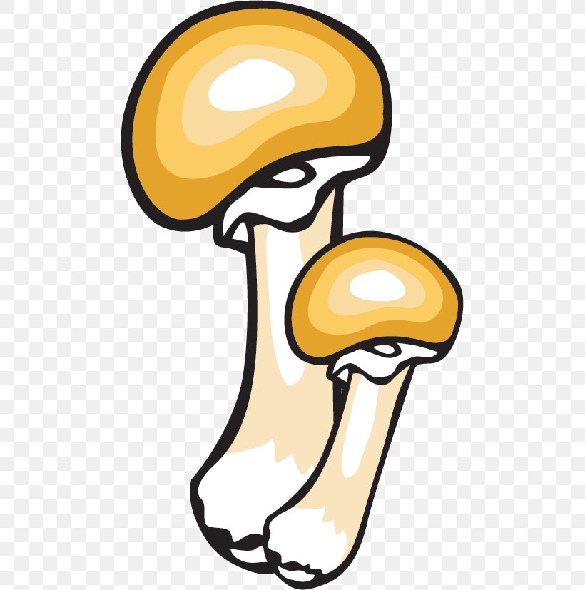 Mushroom Cartoon, PNG, 481x827px, Mushroom, Edible Mushroom, Matsutake, Pleurotus, Pleurotus Ostreatus Download Free