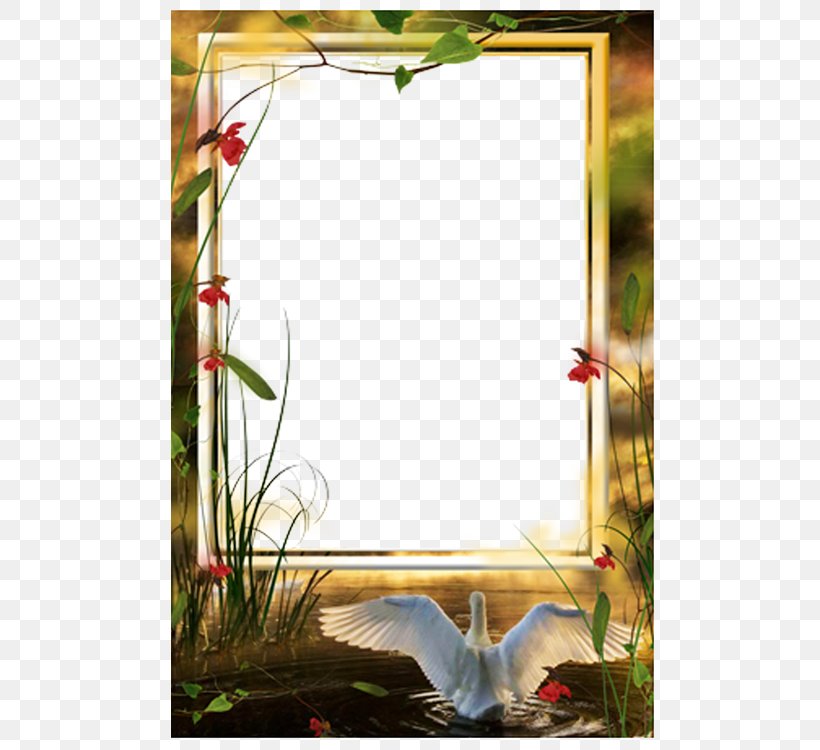 Picture Frame, PNG, 750x750px, Picture Frame, Digital Image, Dots Per Inch, Grass, Interior Design Download Free