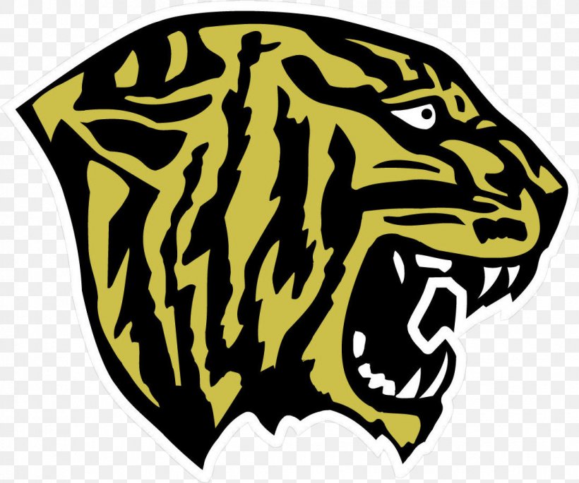 Tiger Fridley High School Winona Sport Tri-Metro Conference, PNG, 1081x904px, Tiger, Basketball, Big Cats, Carnivoran, Cat Like Mammal Download Free
