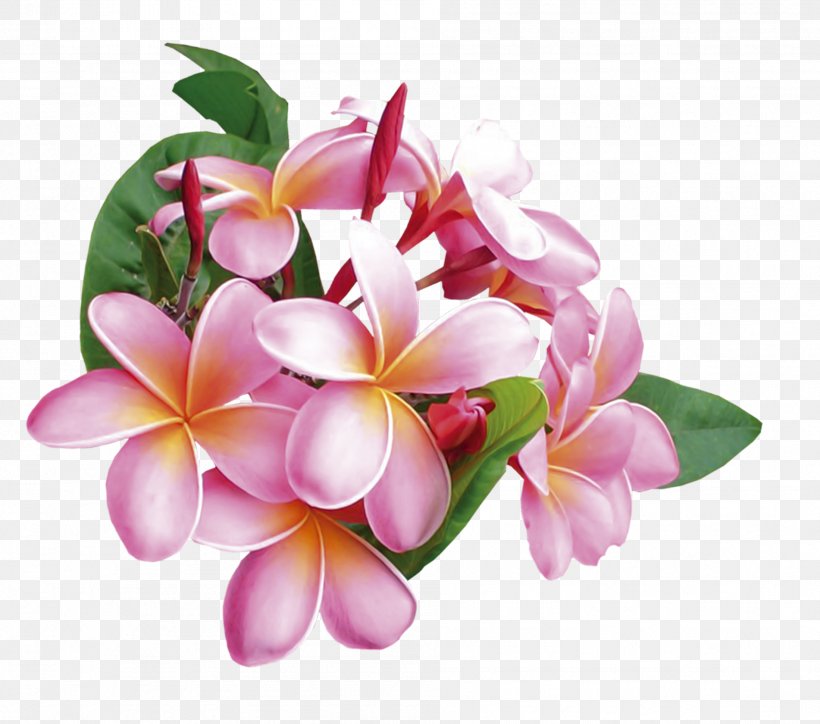 Flower Bouquet Floral Design Clip Art, PNG, 1902x1680px, Flower, Blossom, Cut Flowers, Digital Image, Floral Design Download Free