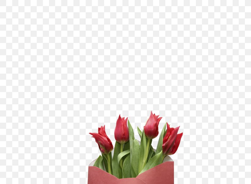 Indira Gandhi Memorial Tulip Garden Cut Flowers Flower Bouquet, PNG, 600x600px, Tulip, Alhamdulillah, Cut Flowers, Floral Design, Floristry Download Free