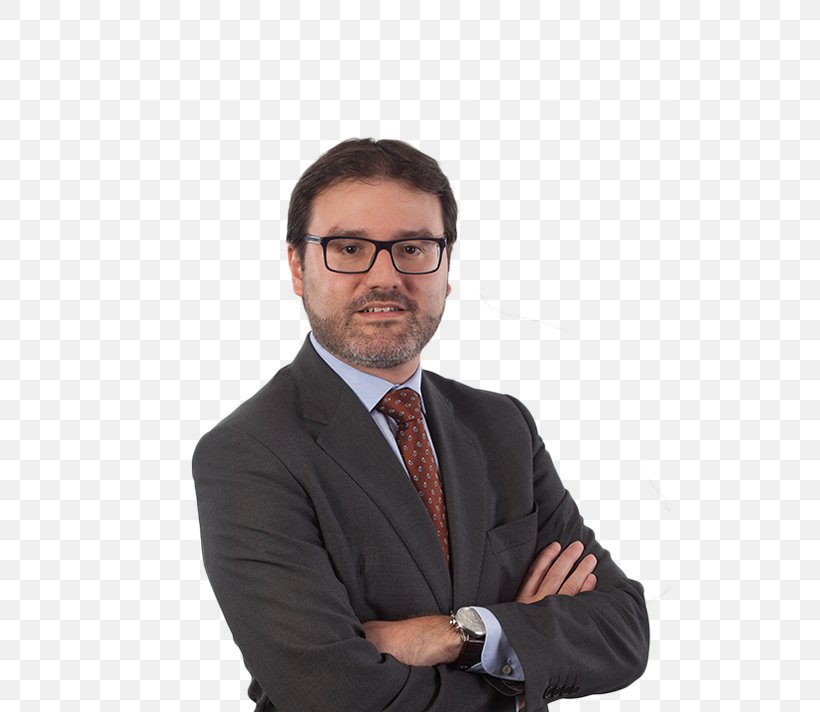 Miquel Roca Lawyer Financial Planner Financial Adviser Finance, PNG, 543x712px, Lawyer, Business, Businessperson, Chin, Corporate Law Download Free