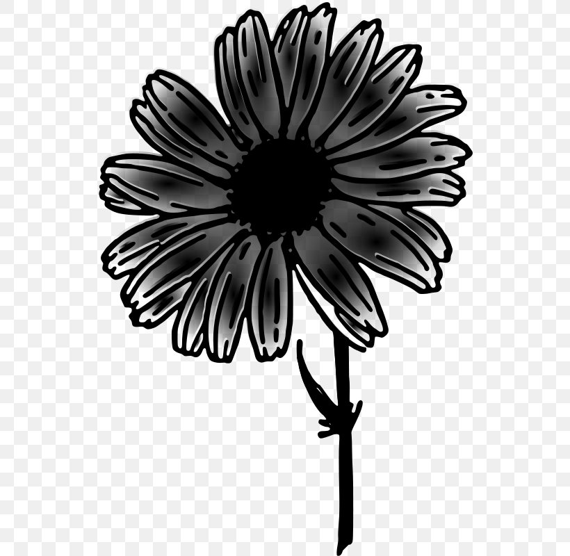 Clip Art Drawing Common Daisy Image, PNG, 540x800px, Drawing, African Daisy, Aster, Asterales, Blackandwhite Download Free