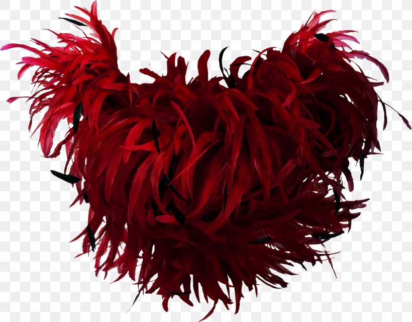 Feather Boa Bird Red, PNG, 1760x1374px, Feather, Bird, Clothing, Drawing, Fashion Download Free