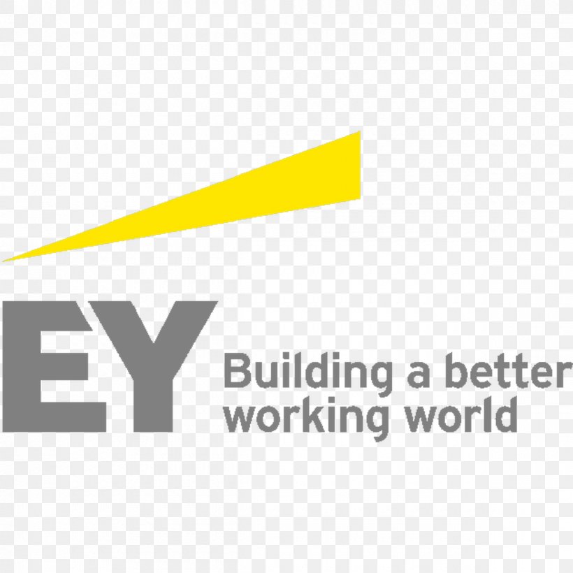 Ernst & Young Business Financial Adviser Tax Assurance Services, PNG, 1200x1200px, Ernst Young, Area, Assurance Services, Brand, Business Download Free