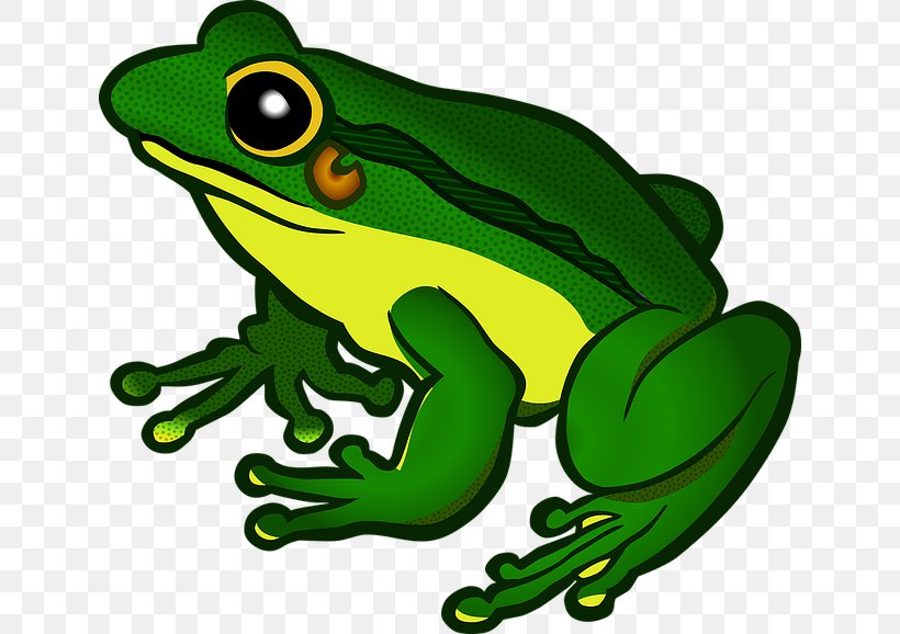 Frog Clip Art, PNG, 640x578px, Frog, American Bullfrog, Amphibian, Cartoon, Clip Art Download Free