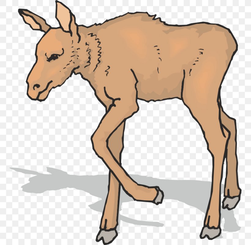 Mule Elk Moose Antler Reindeer, PNG, 800x800px, Mule, Animal Figure, Antelope, Antler, Cattle Download Free