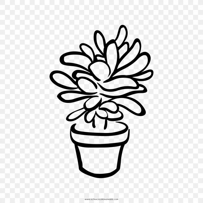 Black And White Succulent Plant Drawing Clip Art, PNG, 1000x1000px, Black And White, Artwork, Cactaceae, Cartoon, Coloring Book Download Free