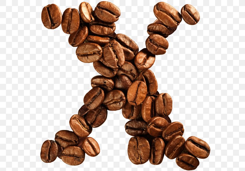 Jamaican Blue Mountain Coffee Coffee Bean Cocoa Bean Caffeine, PNG, 600x571px, Jamaican Blue Mountain Coffee, Arabica Coffee, Brown, Caffeine, Cocoa Bean Download Free
