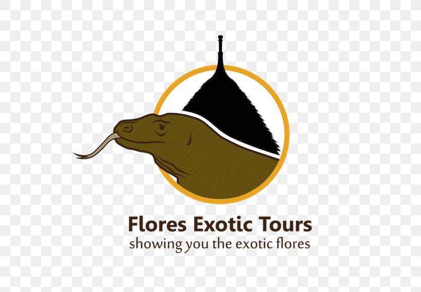 Komodo Dragon Flores Exotic Tours, PNG, 800x570px, Komodo Dragon, Brand, Dragon, Flores, Indonesia Download Free