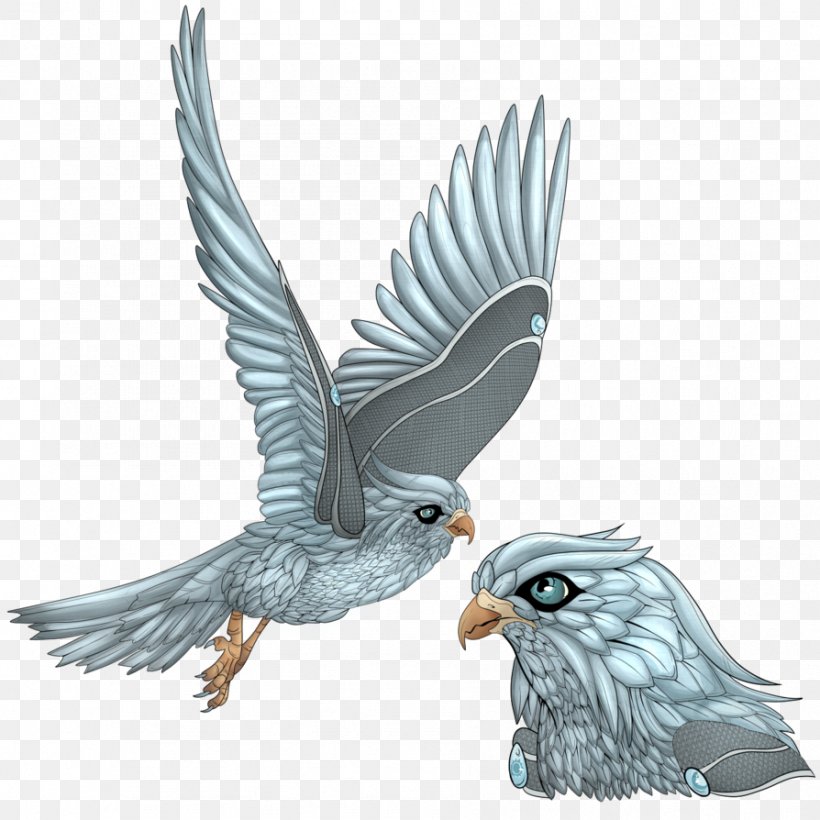 Minokawa Bird Eagle, PNG, 894x894px, Minokawa, Art, Beak, Bird, Bird Of Prey Download Free