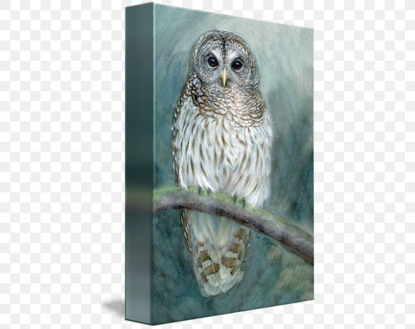 Owl Fauna Beak, PNG, 433x650px, Owl, Beak, Bird, Bird Of Prey, Fauna Download Free