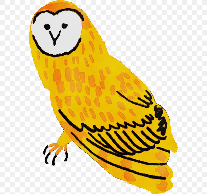 Owls Falcon Beak Bird Of Prey Birds, PNG, 589x766px, Watercolor, Animal Figurine, Beak, Bird Of Prey, Birds Download Free