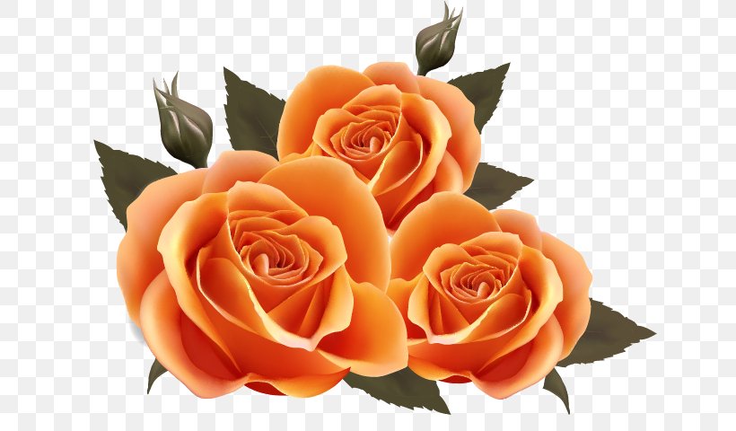 Clip Art Image Rose Transparency, PNG, 644x480px, Rose, Black Rose, Bouquet, Cut Flowers, Floral Design Download Free