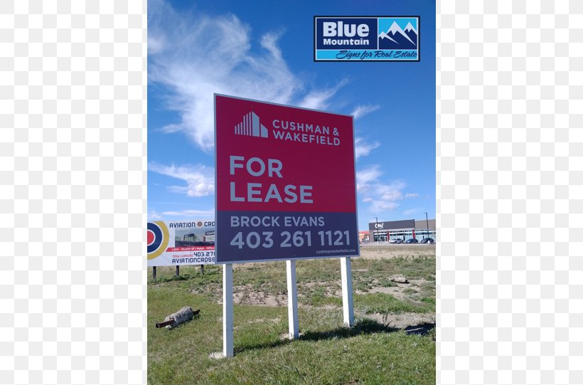 Real Estate Lease Commercial Property Cushman & Wakefield Real Property, PNG, 800x541px, Real Estate, Advertising, Banner, Billboard, Brand Download Free