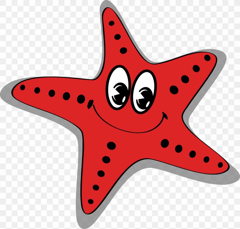 Starfish Cartoon Sea, PNG, 1445x1382px, Starfish, Cartoon, Drawing, Echinoderm, Invertebrate Download Free