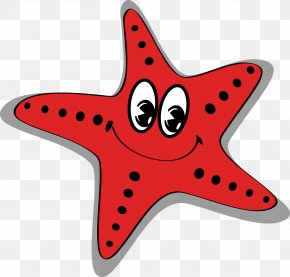 sea star cartoon