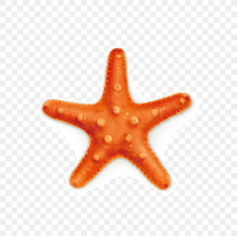 Starfish Royalty-free Stock Photography Illustration, PNG, 2362x2362px, Starfish, Drawing, Echinoderm, Invertebrate, Marine Invertebrates Download Free