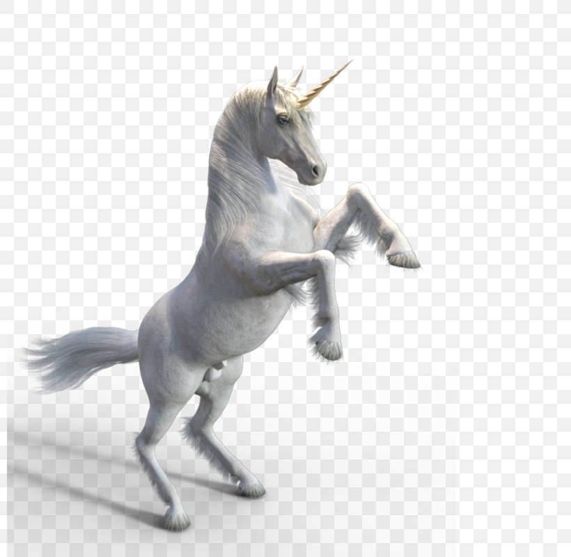 White Unicorn, PNG, 800x800px, Horse, Display Resolution, Dots Per Inch, Fictional Character, Horse Like Mammal Download Free