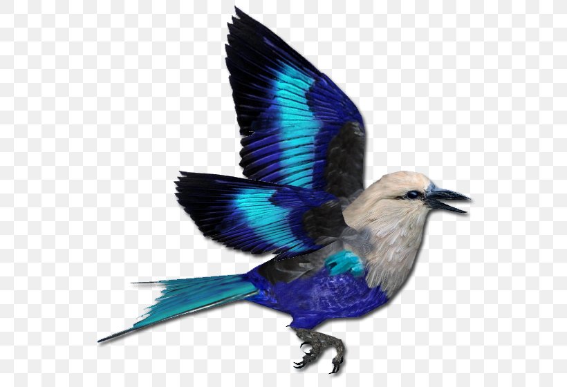 Zoo Tycoon 2 Striped Hyena Blue-bellied Roller Digital Art, PNG, 572x560px, Zoo Tycoon 2, Animal, Art, Beak, Bird Download Free