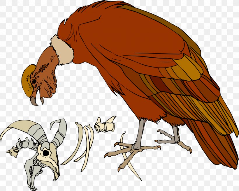 Bird Of Prey Parrot Chicken Beak, PNG, 1200x961px, Bird, Animal, Art, Beak, Bird Of Prey Download Free