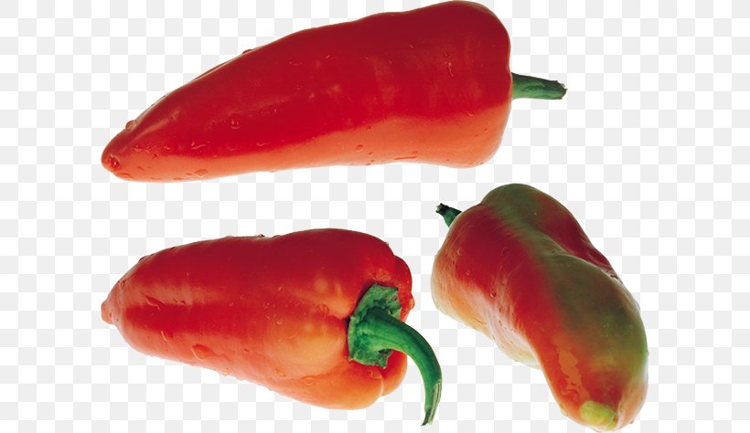 Chili Pepper Jalapeño, PNG, 600x474px, Chili Pepper, Bell Pepper, Bell Peppers And Chili Peppers, Capsicum, Capsicum Annuum Download Free