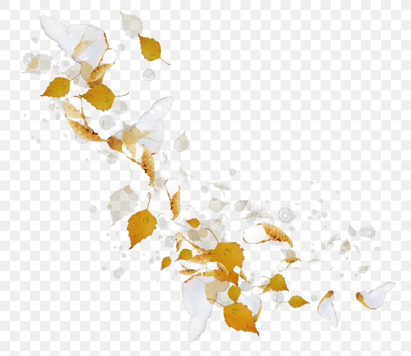 Desktop Wallpaper Computer Wallpaper, PNG, 800x710px, Computer, Branch, Flower, Petal, Yellow Download Free