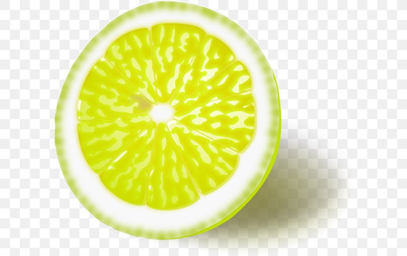Lemon Lime Orange Clip Art, PNG, 600x516px, Lemon, Calamondin, Citric Acid, Citron, Citrus Download Free