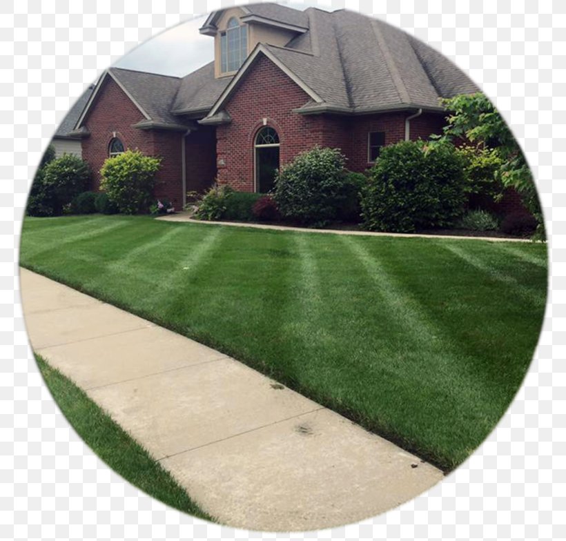 Quality Cut Lawn Care LLC Backyard Landscaping, PNG, 784x784px, Lawn, Asphalt, Backyard, Columbia, Driveway Download Free