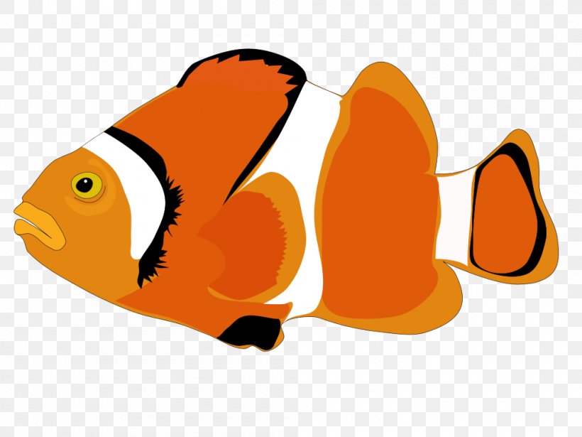 Download Clip Art, PNG, 1000x750px, Windows Metafile, Beak, Data, Drawing, Fish Download Free