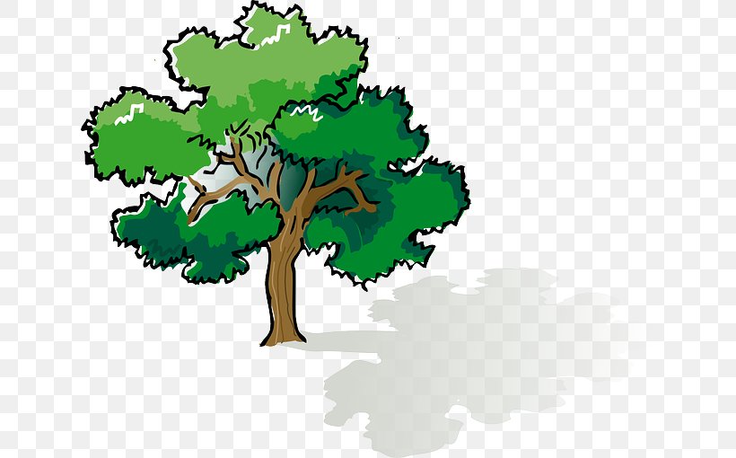 Shade Tree Oak Clip Art, PNG, 640x510px, Tree, Branch, Can Stock Photo, Grass, Green Download Free