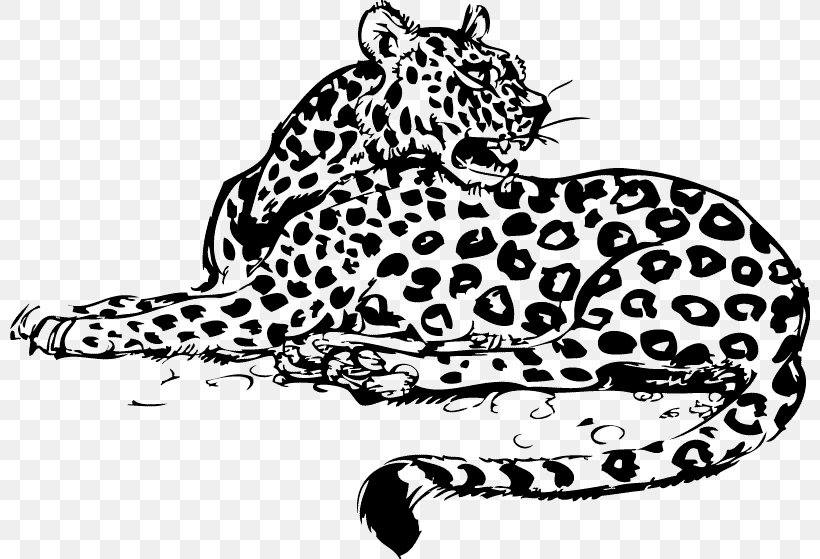 Whiskers Leopard Jaguar Wildcat, PNG, 800x559px, Whiskers, Africa, Animal, Animal Figure, Big Cats Download Free