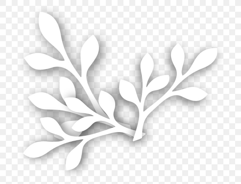 White, PNG, 734x627px, White, Black And White, Branch, Flower, Monochrome Download Free