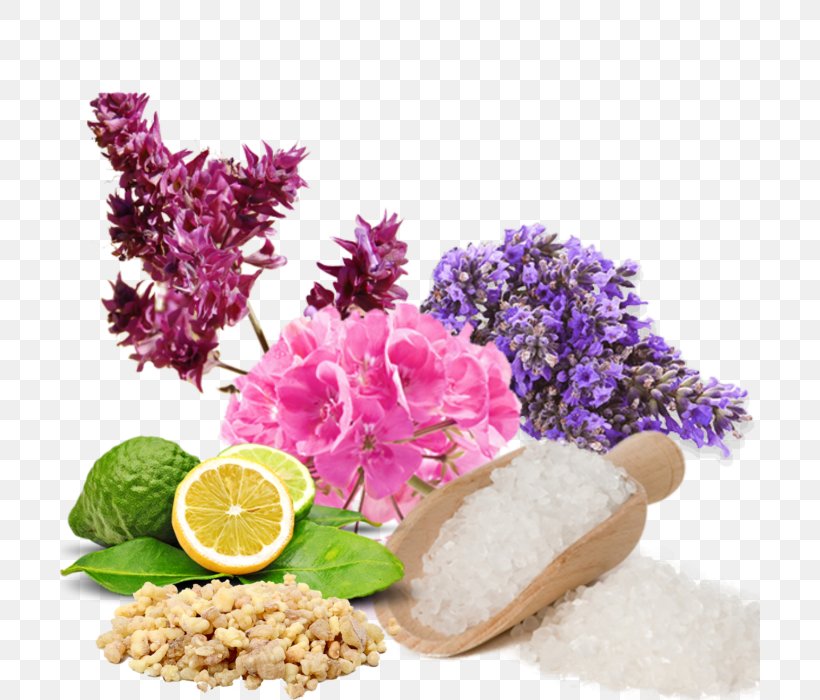 Aromatherapy Olfaction Dietary Supplement Health, PNG, 700x700px, Aromatherapy, Baths, Commodity, Cut Flowers, Dietary Supplement Download Free