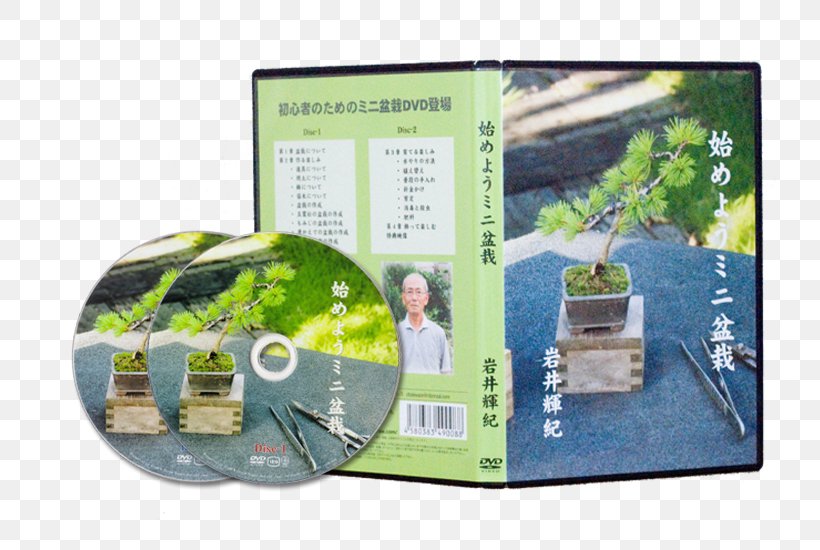 Bonsai 苔 Crock Plant DVD, PNG, 800x550px, Bonsai, Amazoncom, Crock, Diy Store, Dvd Download Free