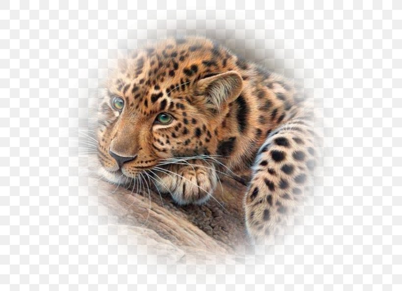 Jaguar Tiger Cheetah Bengal Cat Leopard, PNG, 593x594px, Jaguar, Animal, Animal Print, Bengal Cat, Big Cats Download Free