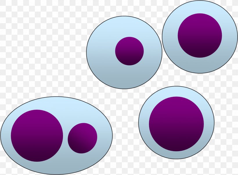 Purple Violet Lilac Magenta, PNG, 1141x841px, Purple, Lilac, Magenta, Violet Download Free