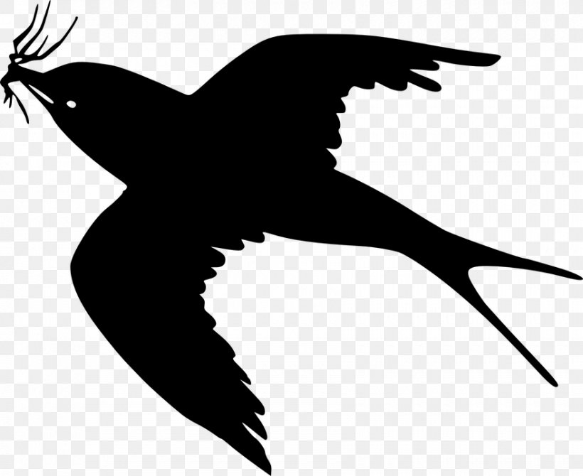 Bird Flight Cartoon Clip Art, PNG, 880x720px, Bird, Beak, Bird Flight, Black And White, Blackbird Download Free