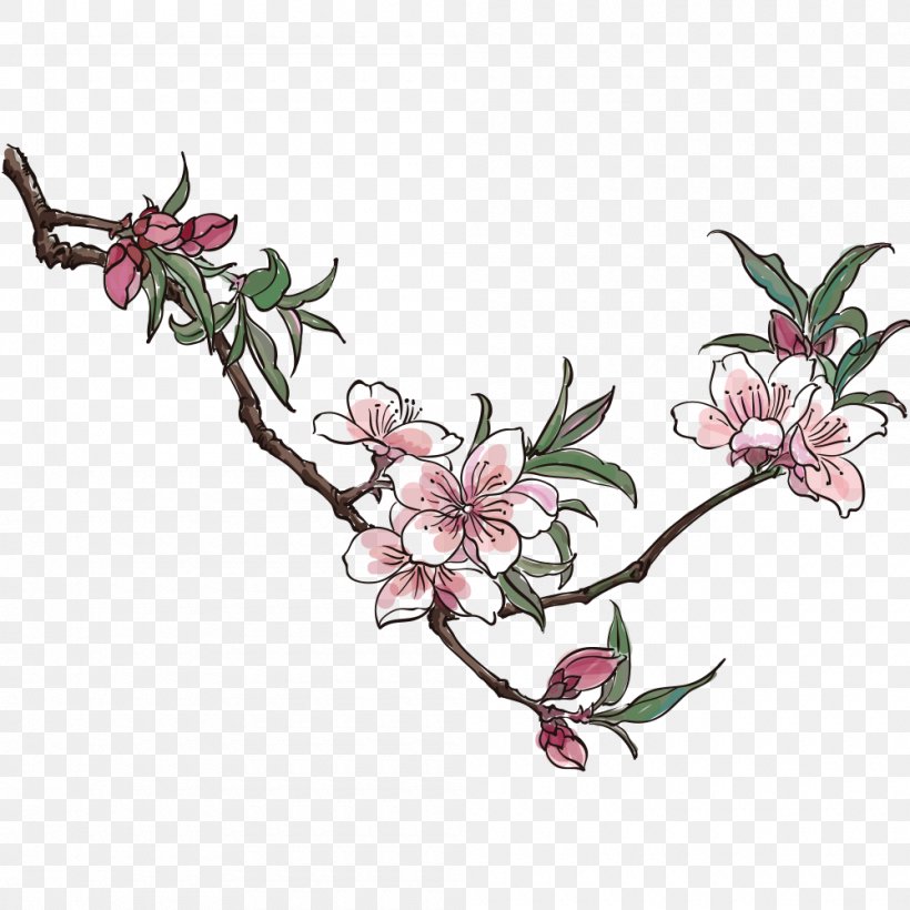 Blossom Drawing Vector Graphics Peach Clip Art, PNG, 1000x1000px, Blossom, Art, Botany, Branch, Cherries Download Free