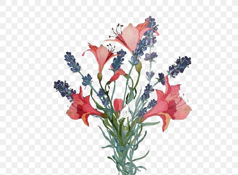 Flower Ipomoea Nil Illustration, PNG, 525x604px, Flower, Art, Artificial Flower, Cut Flowers, Designer Download Free