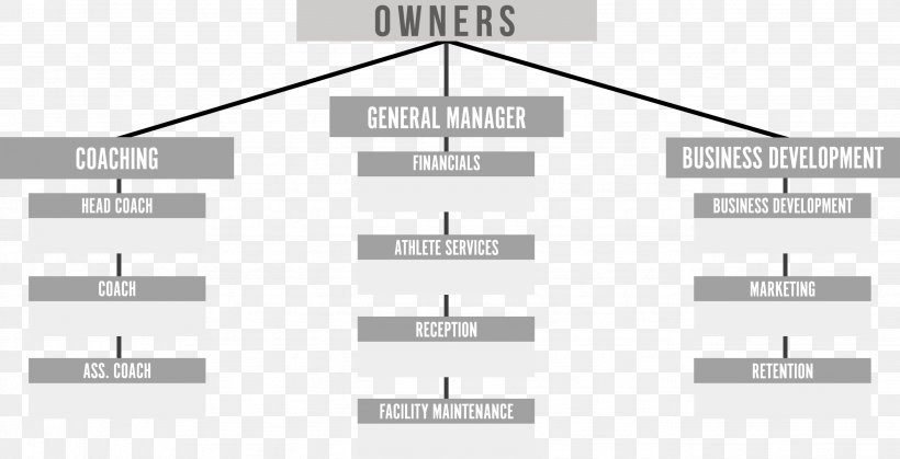 Organizational Structure Business Corporate Structure, PNG, 2673x1369px, Organization, Black And White, Brand, Business, Business Analysis Download Free
